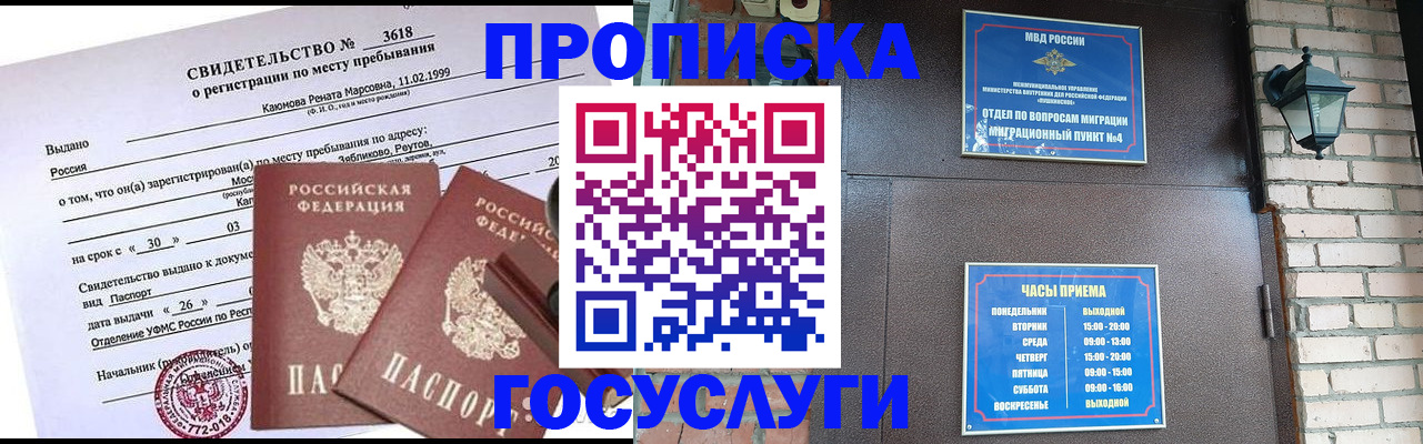 временная регистрация поиск в Никольском